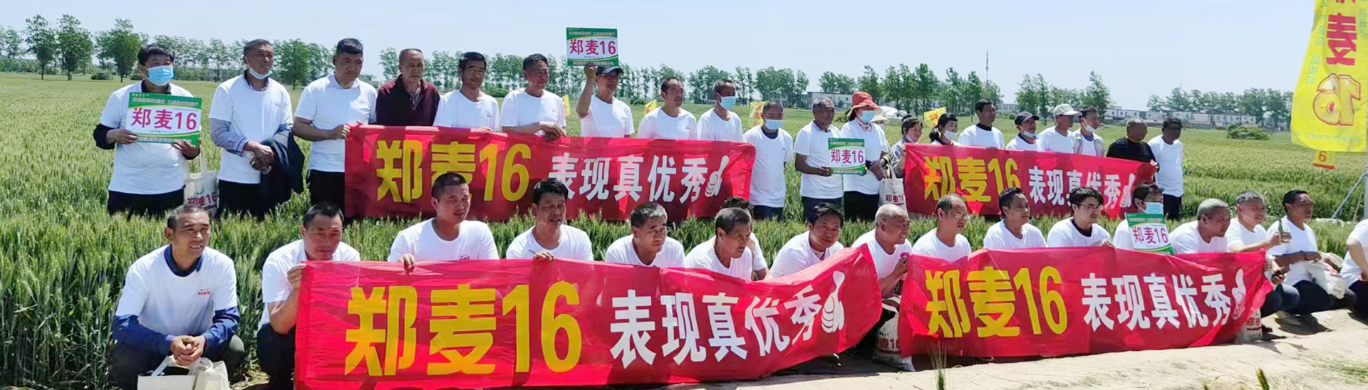 溫創(chuàng)種業(yè)